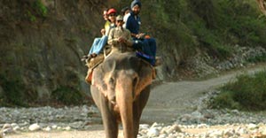 best time and month for jim corbett elephant safari-2022