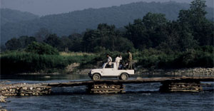 dhikala bijrani jeep safari permit for may - june